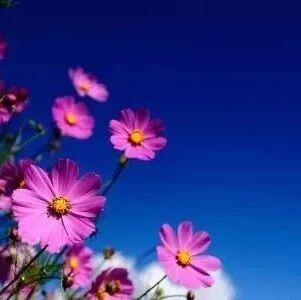 必看文章 | 衡水中学一个普通学生有多努力？请老师家长转给孩子看看