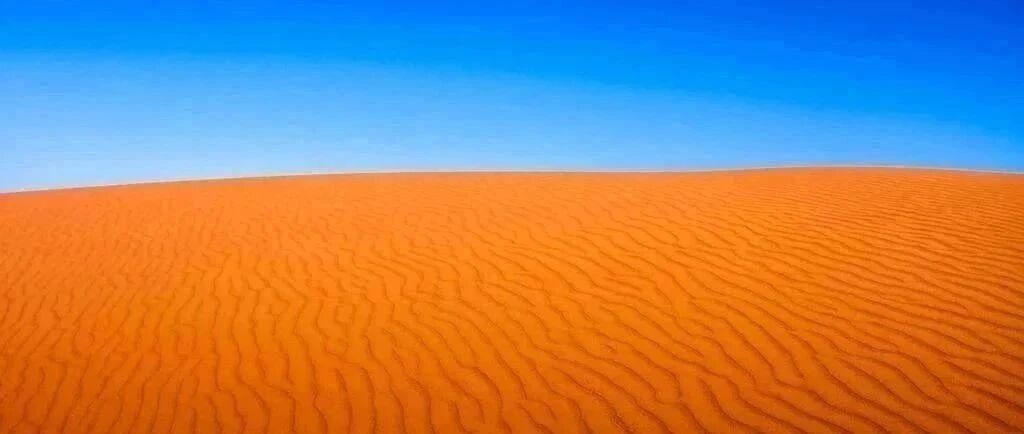 一所县城中学刷屏，11人超过700分！凌晨校园照震撼无数家长!