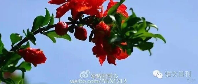 2020高考状元来了，总分725分！看了唐楚玥的时间表，终于懂了“假勤奋”和“真用功”的区别！