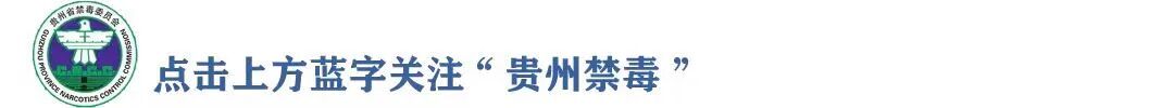 pvp手术怎么麻醉最新毒品管制目录，508种+两类（截至2024.6）_https://www.jmylbn.com_新闻资讯_第10张