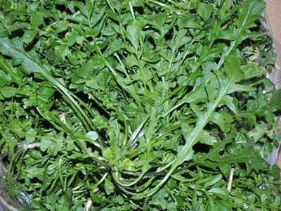 宿州人爱吃的野菜有多鲜一口一个春天的味道