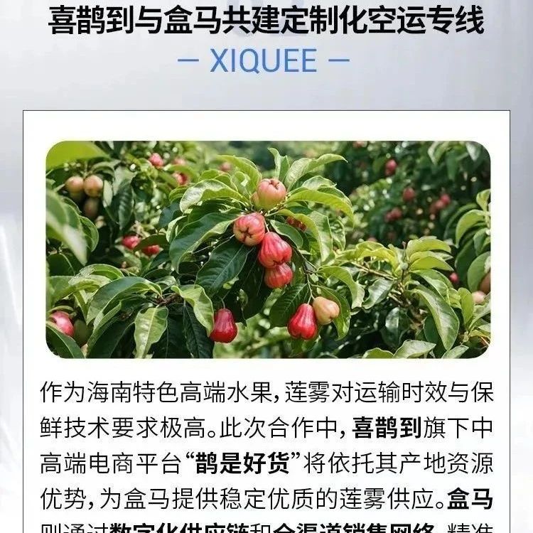 上海市浙江商会