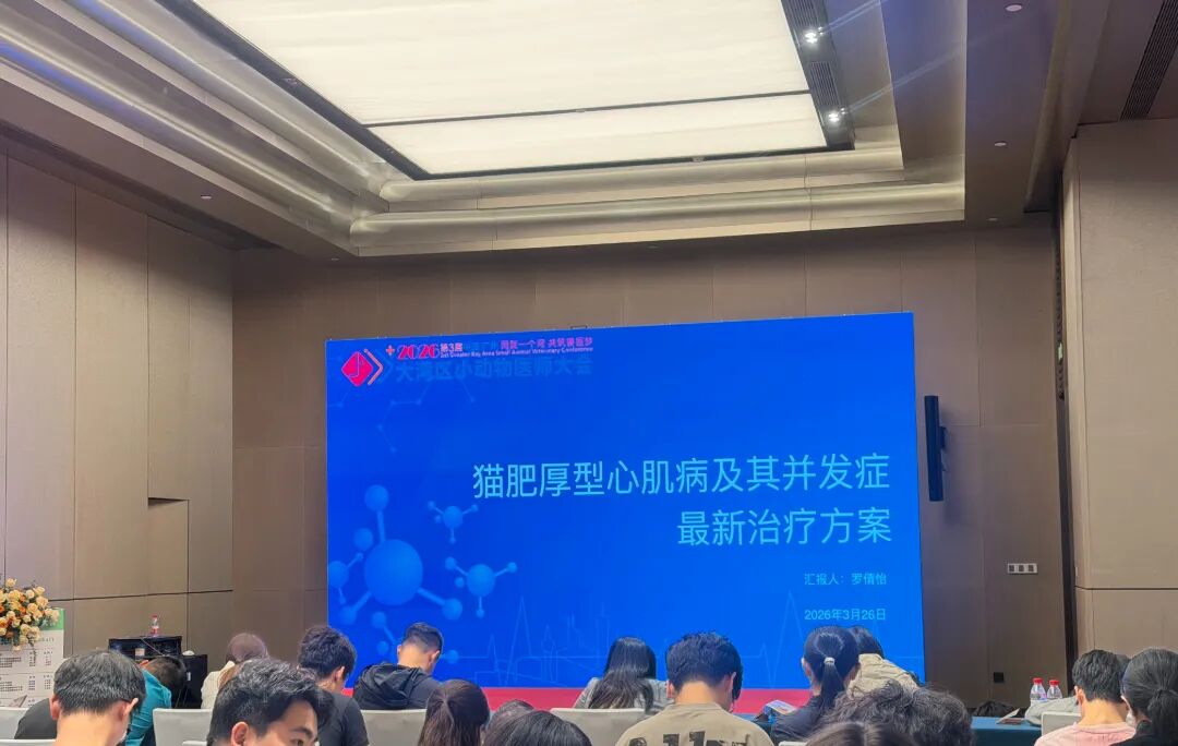 微信图片_20260401183906_21_2158.jpg
