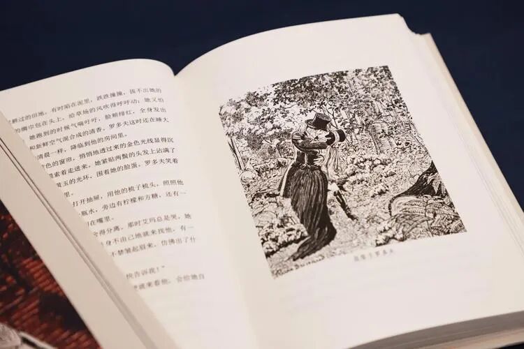 西加早念什么 东写西读 | 假如福楼拜懂中文