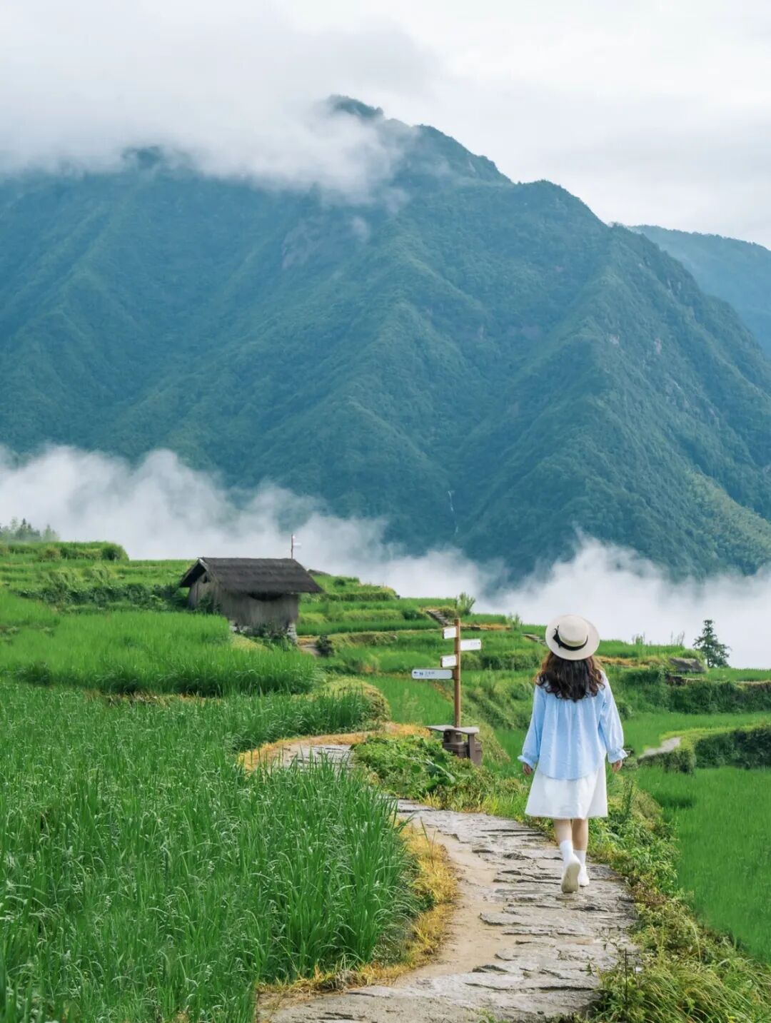 最适合5-6月旅游的6个地方，花最少的钱，看最美的风景！