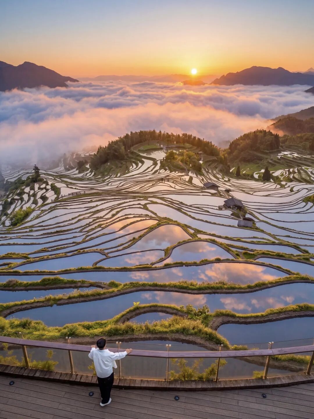 最适合5-6月旅游的6个地方，花最少的钱，看最美的风景！