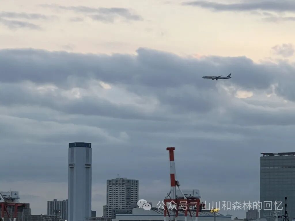 东京某个海边公园