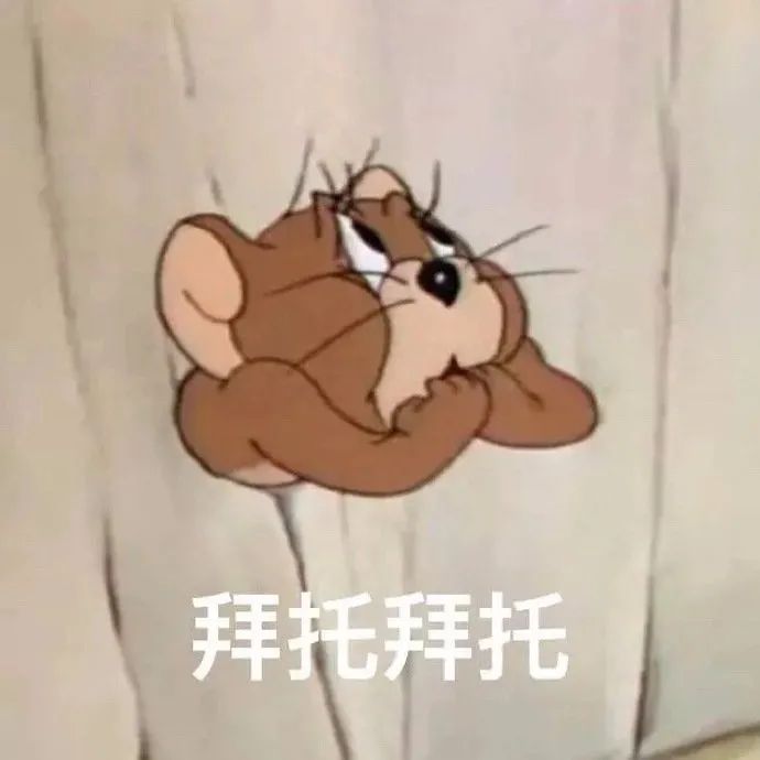 蜘蛛嘲及东大鸡猪侠动画蜘蛛侠_蜘蛛侠三豆瓣_超凡的蜘蛛2侠破解版