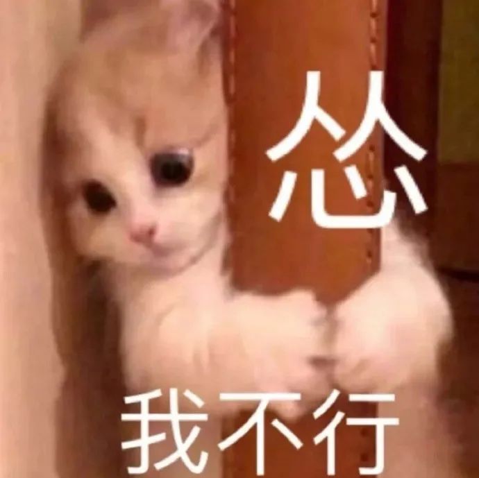 蜘蛛嘲及东大鸡猪侠动画蜘蛛侠_超凡的蜘蛛2侠破解版_蜘蛛侠三豆瓣