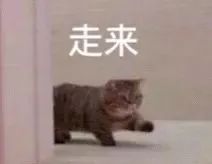 蜘蛛侠三豆瓣_猛兽侠蜘蛛勇士玩具视频_单机超凡蜘蛛 侠下载