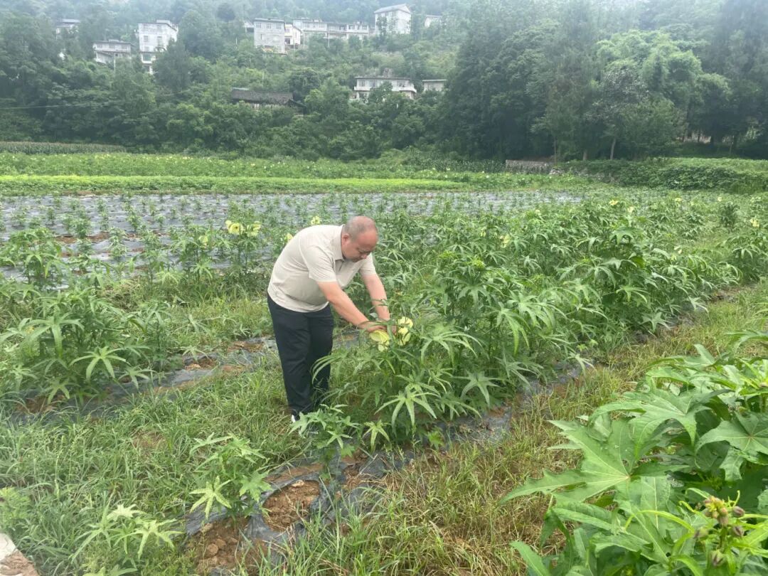 微信图片_20250718093459.jpg