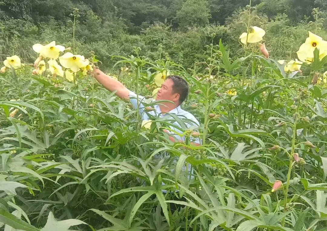 微信图片_20250718101832.jpg