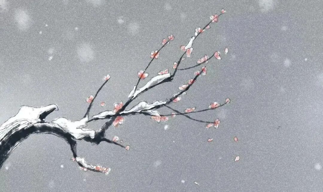 诗中幽禽指的是什么_诗中幽禽是指的是_幽禽诗指中是什么动物