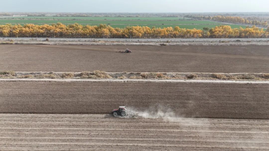 一团12.7万亩农田冬翻平地工作全面有序展开
