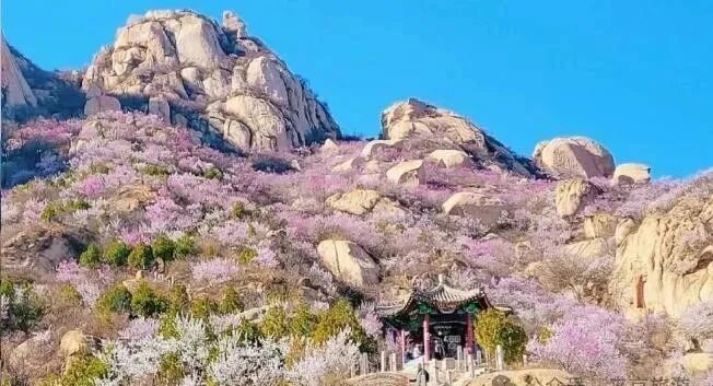 难度:中等交通:长途汽车地址 : 北京市房山区十渡镇九渡大街9号门票