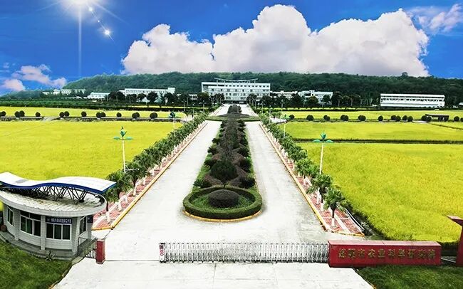 手术头皮夹怎么放2024年科技供需重点项目“云”发布 ｜ 第26期_https://www.jmylbn.com_新闻资讯_第4张