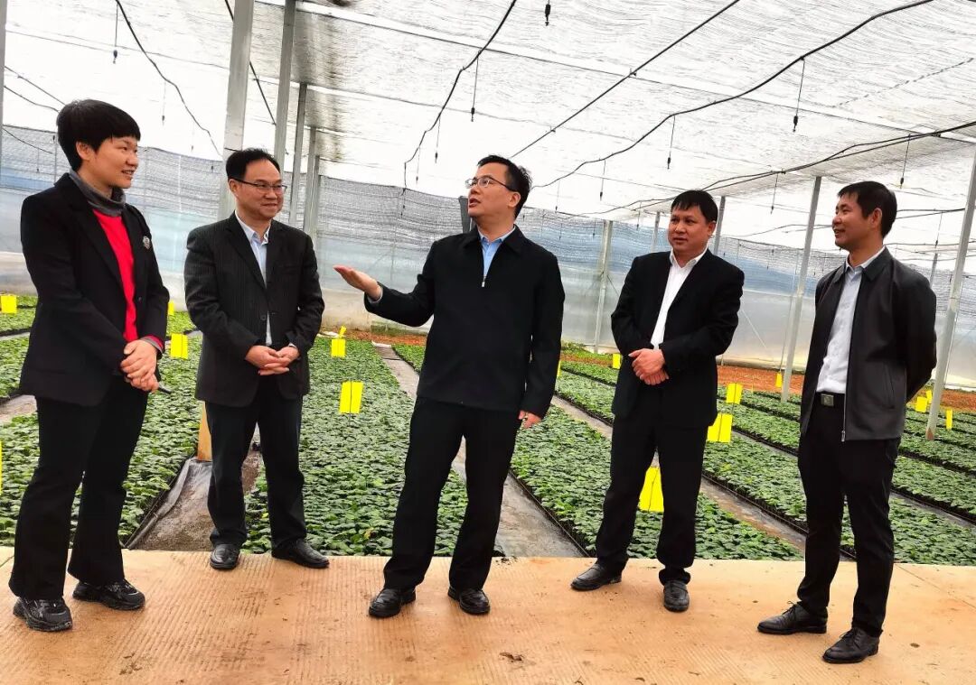 市委副书记卢新华到永福调研