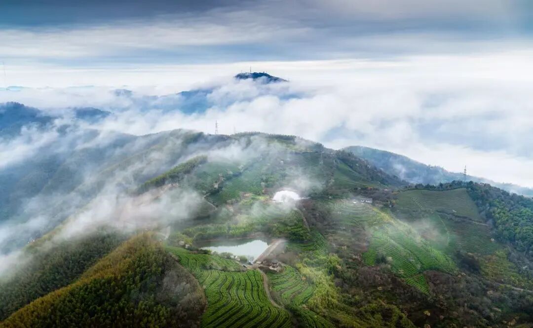 奉化南山茶场 周昱全.jpg