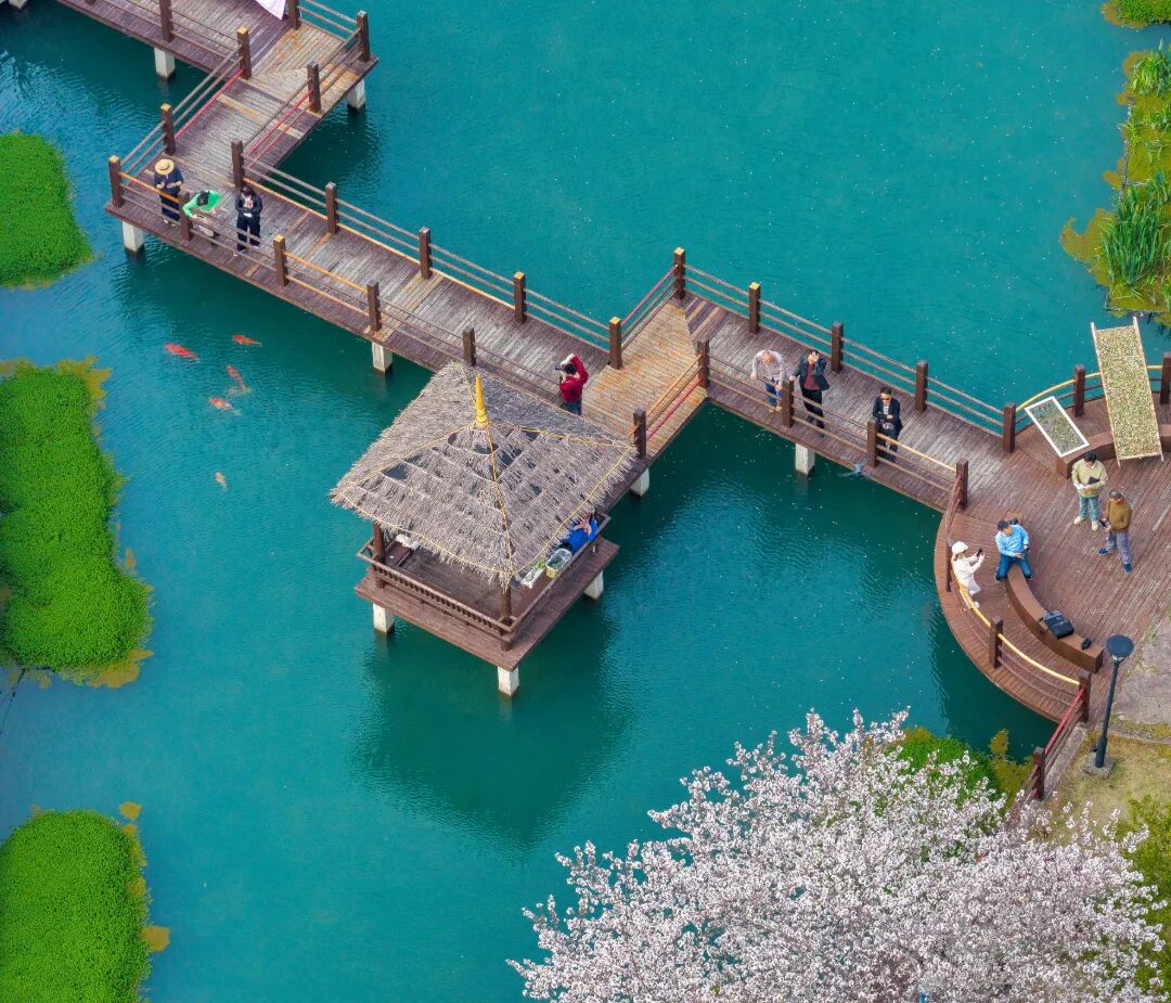 象山县墙头镇溪里方村 沈颖俊.jpg