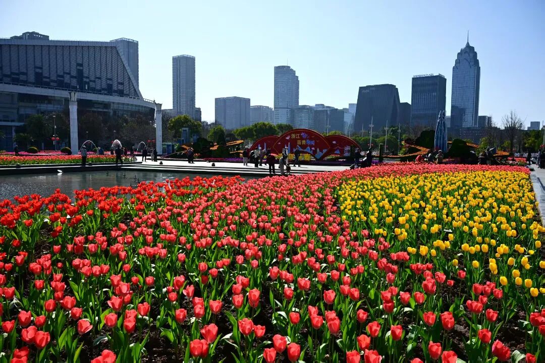 微信图片_20260223105917_421_135.jpg