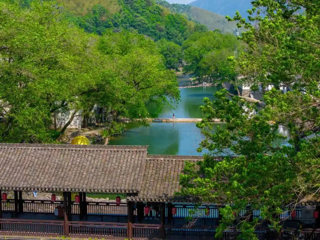 DJI_20260419111827_0044_D.jpg
