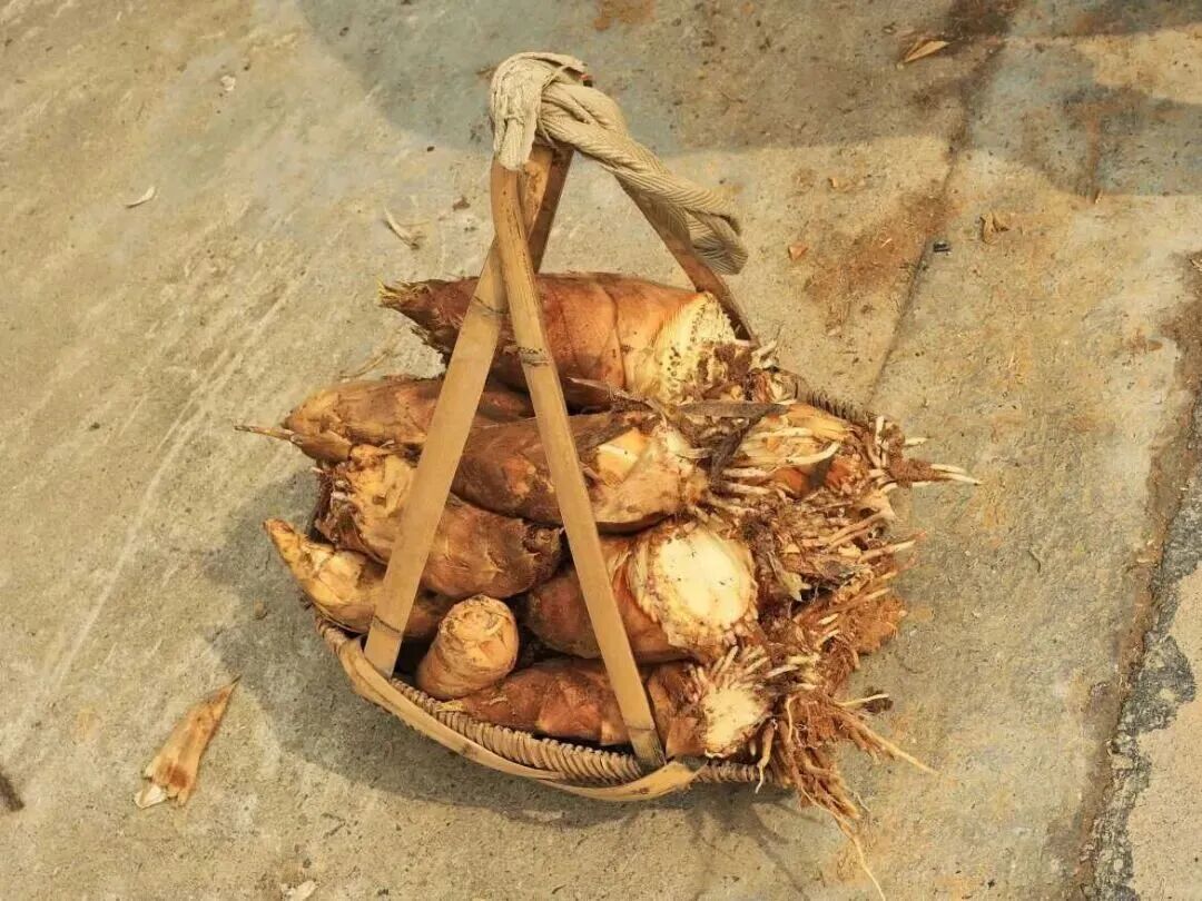 640 (2).jpg