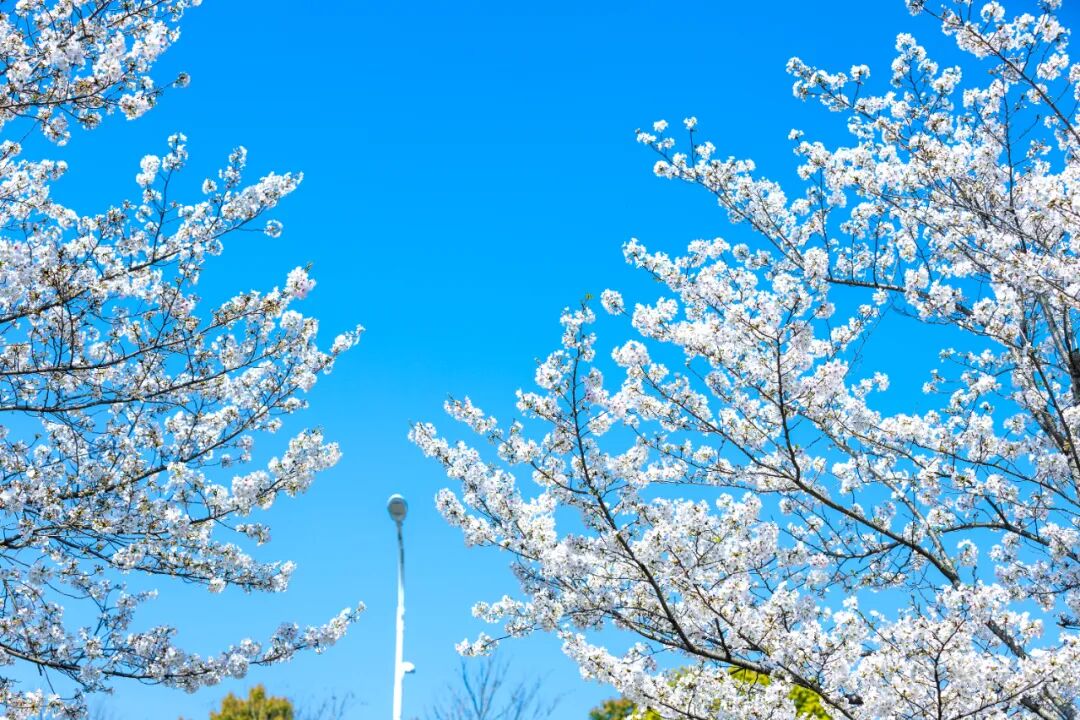 43c92e91e6c021090a9b07bb84c5f19d.jpg