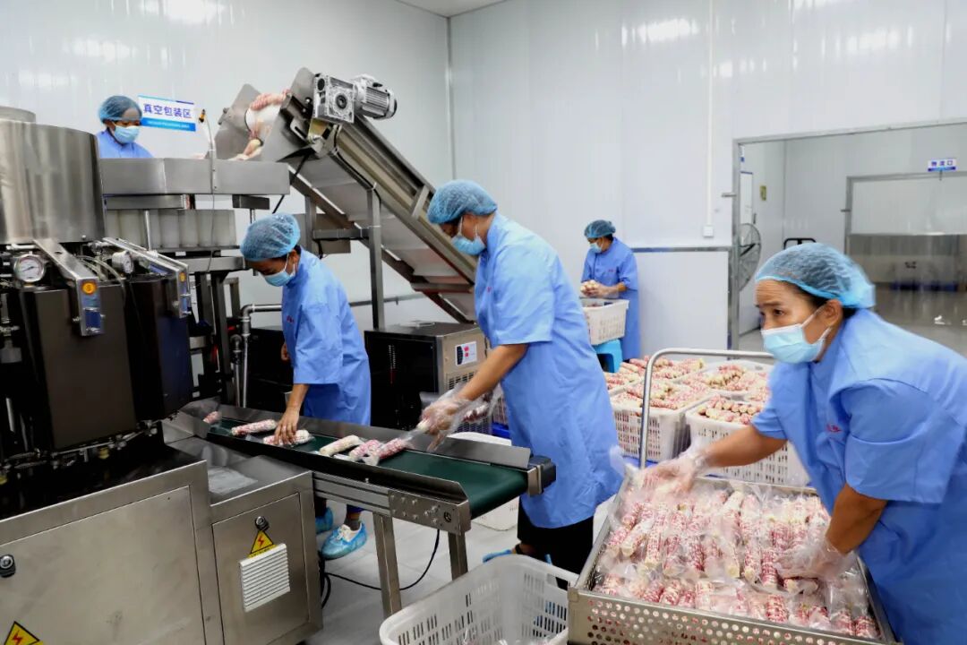 2024云南经济这么干｜西双版纳：聚焦特色找准方向 补齐短板锻造新板