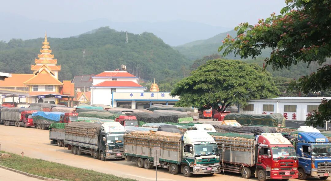 2024云南经济这么干｜西双版纳：聚焦特色找准方向 补齐短板锻造新板