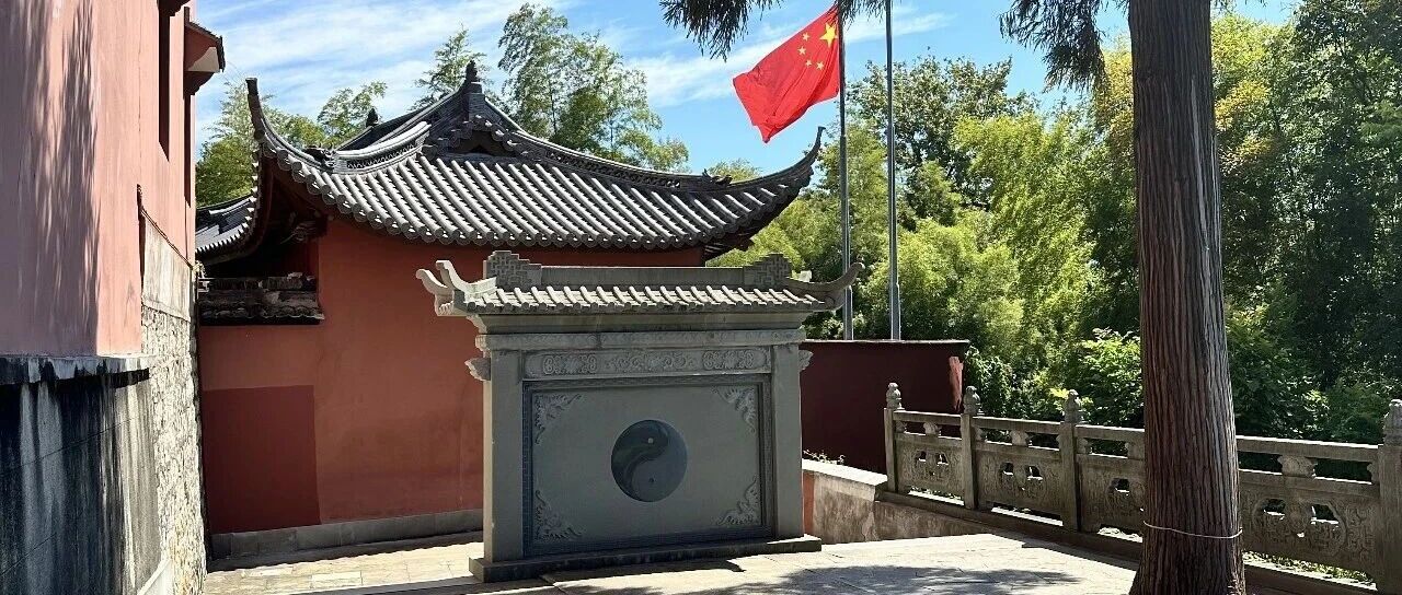 乙木的「藤萝系甲」到底是找贵人还是找核心？