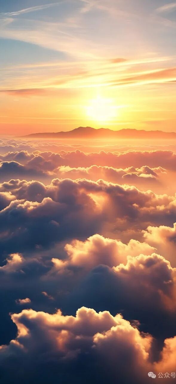 背景 壁纸 风景 天空 桌面 589_1280 竖版 竖屏 手机