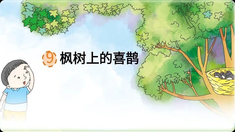 二年级下册：第9课《枫树上的喜鹊》原文+预习+知识点+图文解读+课件
