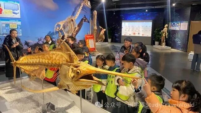 科普研学在成都：超三百优质资源激活，构建全域沉浸式育人新生态