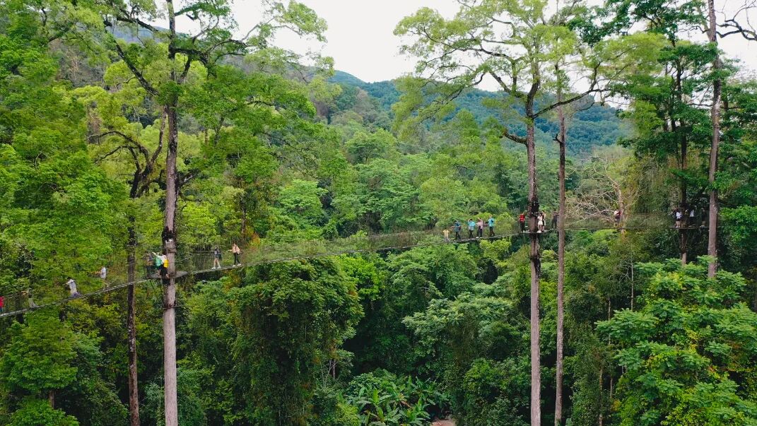 各地文旅花式上分光大银行加我一个