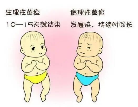 4006B光疗怎么用好消息！我院新生儿科开展日间光疗啦，宝宝不用住院也能照蓝光！_https://www.jmylbn.com_新闻资讯_第5张