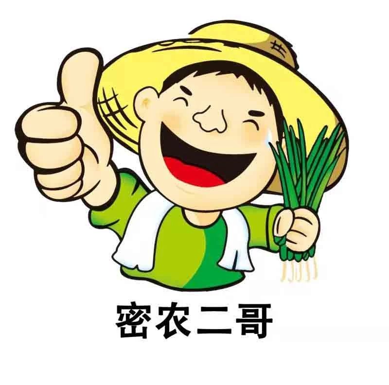 北京金叵罗禄源樱桃种植专业合作社