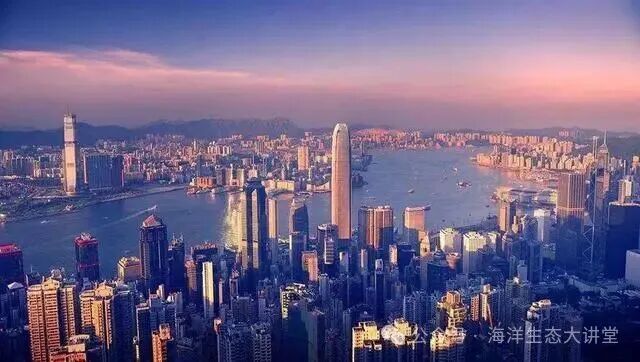 Ϊʲô������ѡ���������ǣ������ǳ����ǻ򲳺���_��չ