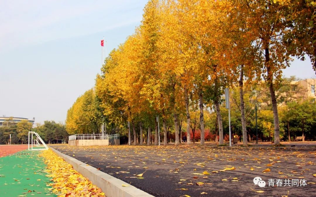 辽宁省实验中学北校高中怎么样_辽宁省实验中学北校高中部_辽宁省实验中学北校