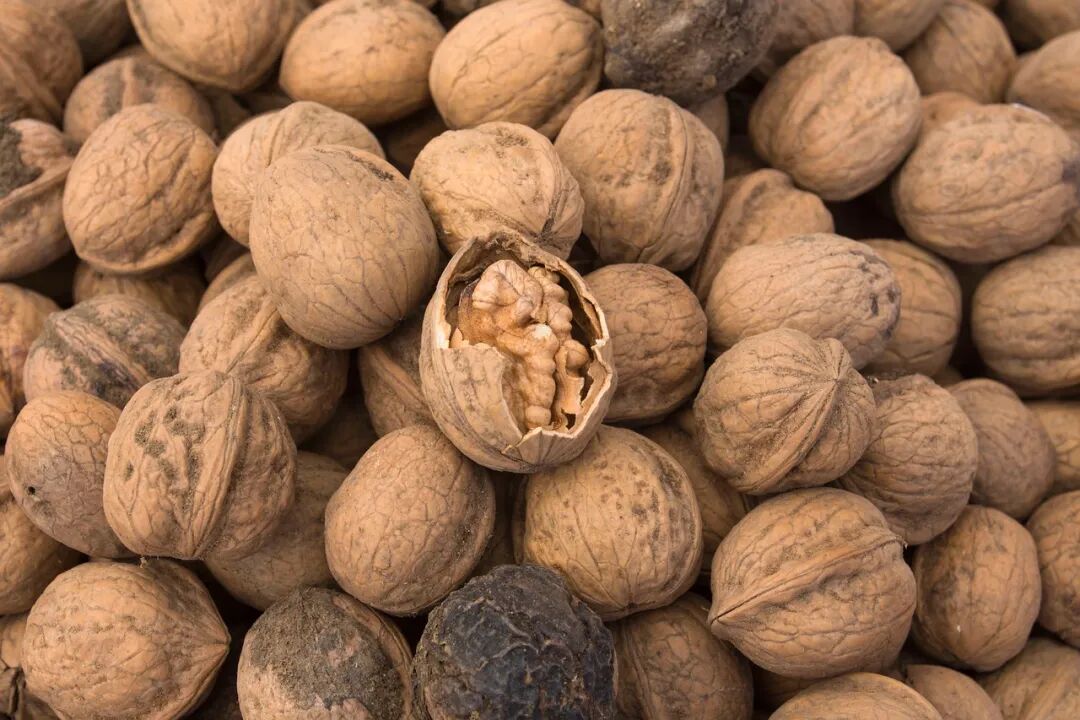 两个治白发的方子，一个补阴，一个补阳