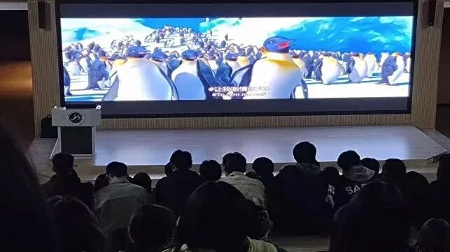 图片10.jpg