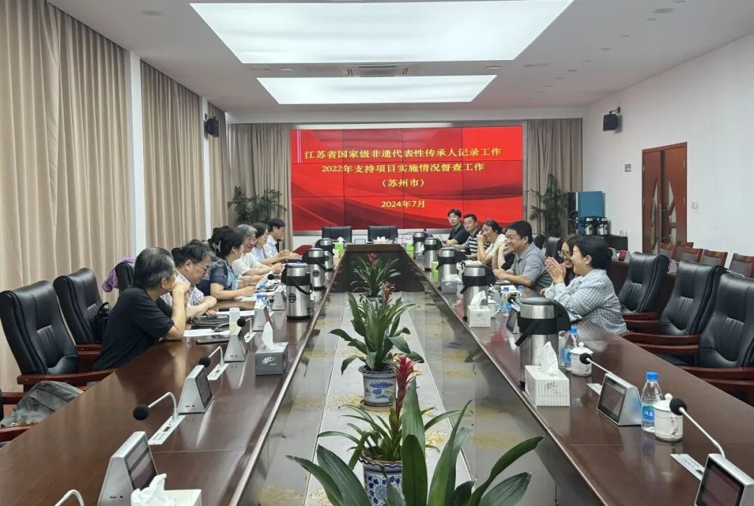 强化过程督导，推动工作落实! 江苏省国家级非遗代表性传承人记录工作2022年支持项目督查工作完成