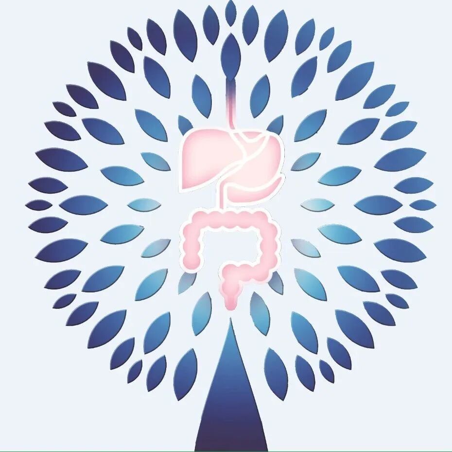 取石网篮 为什么贵四川大学华西医院消化内科胡兵团队：经内镜逆行胰胆管造影术下特殊“网篮嵌顿”案例的内镜处理一例_https://www.jmylbn.com_新闻资讯_第2张