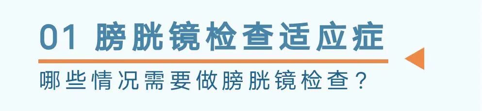 b膀胱镜为什么消毒口袋指南｜膀胱镜检查需要注意这些_https://www.jmylbn.com_新闻资讯_第5张