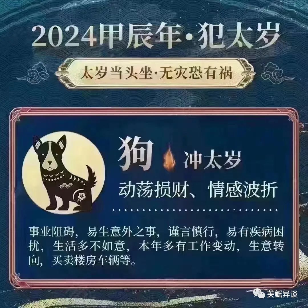属猪出生时辰命运几点出生最好合适