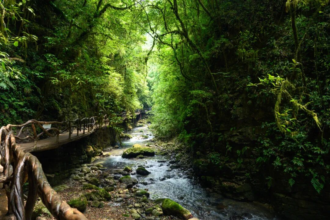 春假宜春游 莫负好春光！达州春假文旅优惠已备好，等您来！