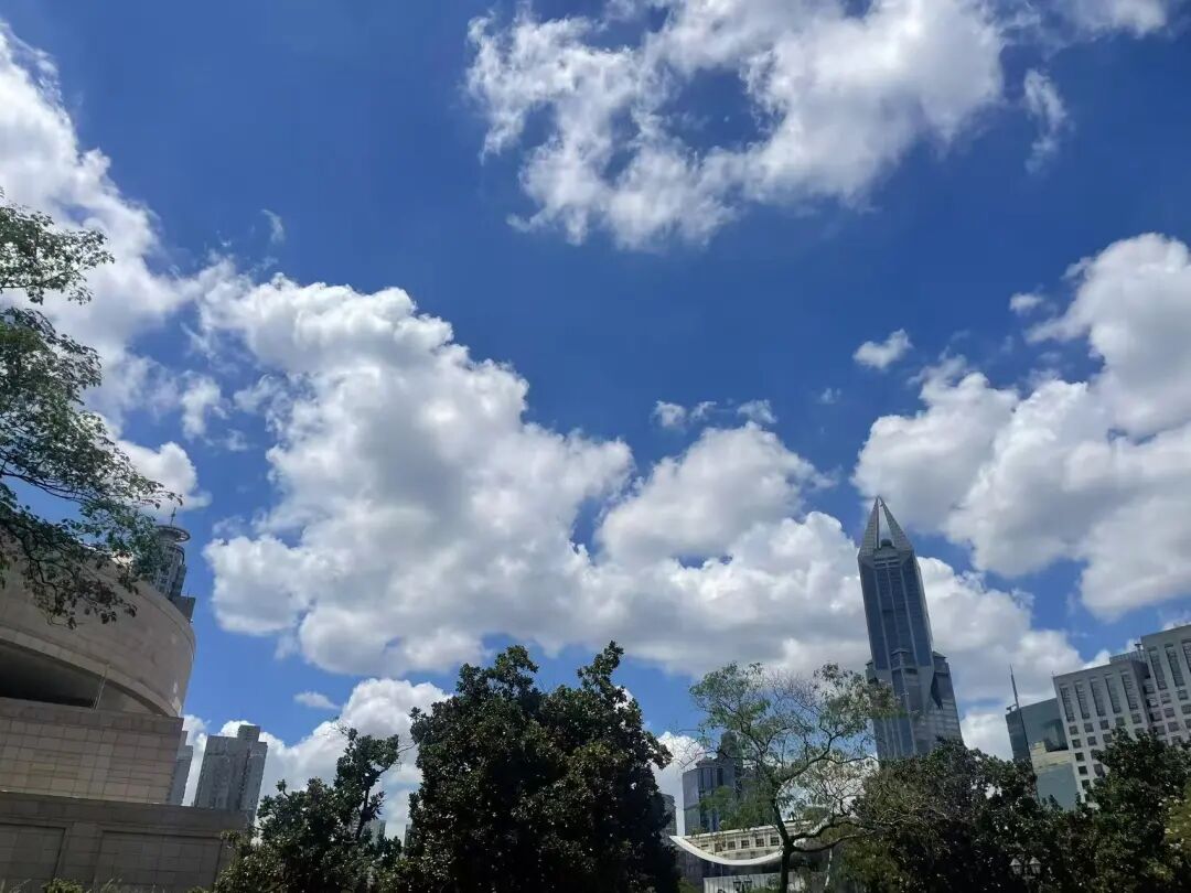 上海高温再度打破两项气象纪录,【33.2℃】上海打破10月中旬最高气温纪录！上海人没干..