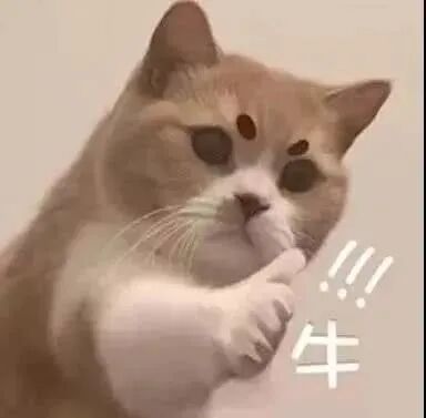 4957d6d7dd05300ddbbba974b8f58d6e.jpg