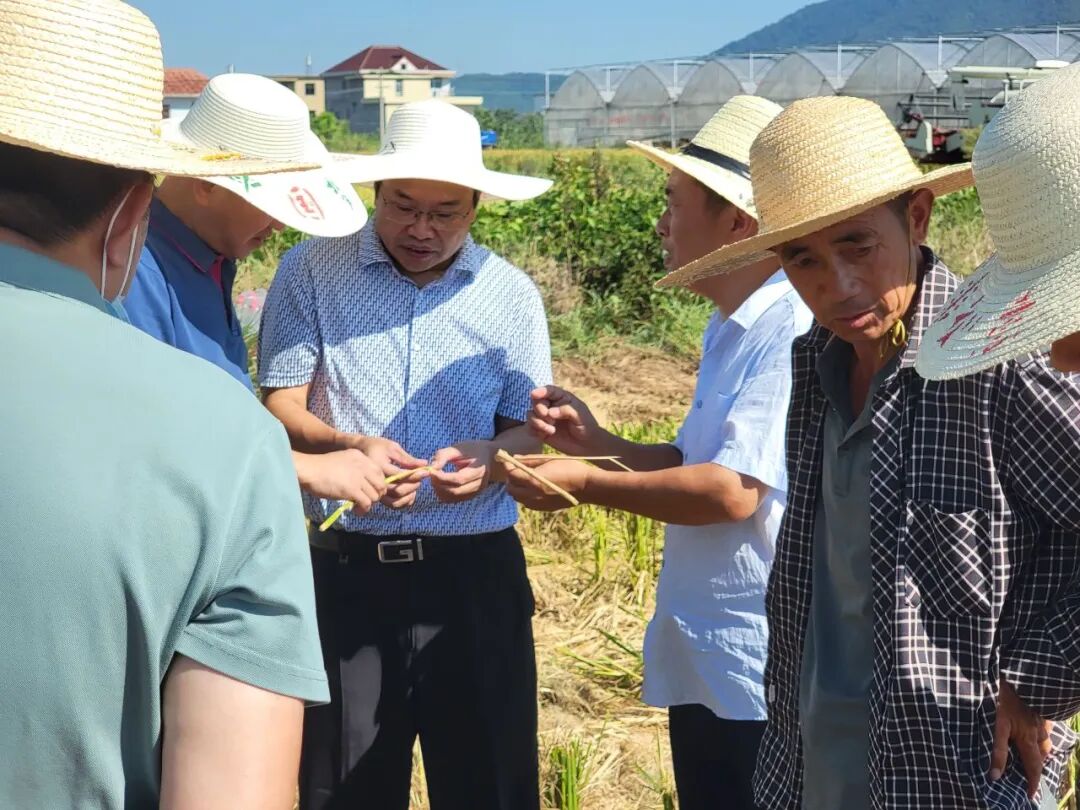 让农民种地不那么累,还要能挣到钱……刘木华委员为何如此"偏心"农民?