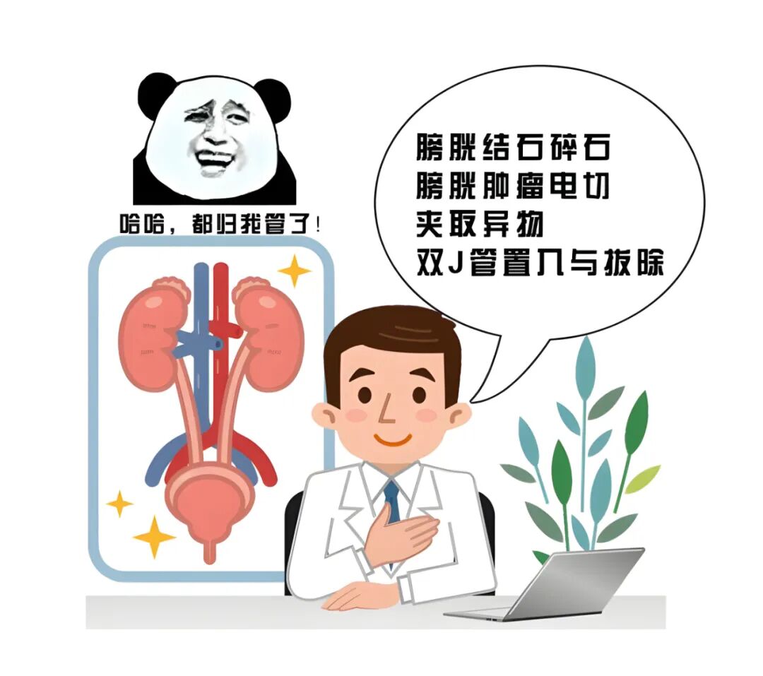 b膀胱镜为什么消毒泌尿外科的第三只眼睛——膀胱镜_https://www.jmylbn.com_新闻资讯_第4张