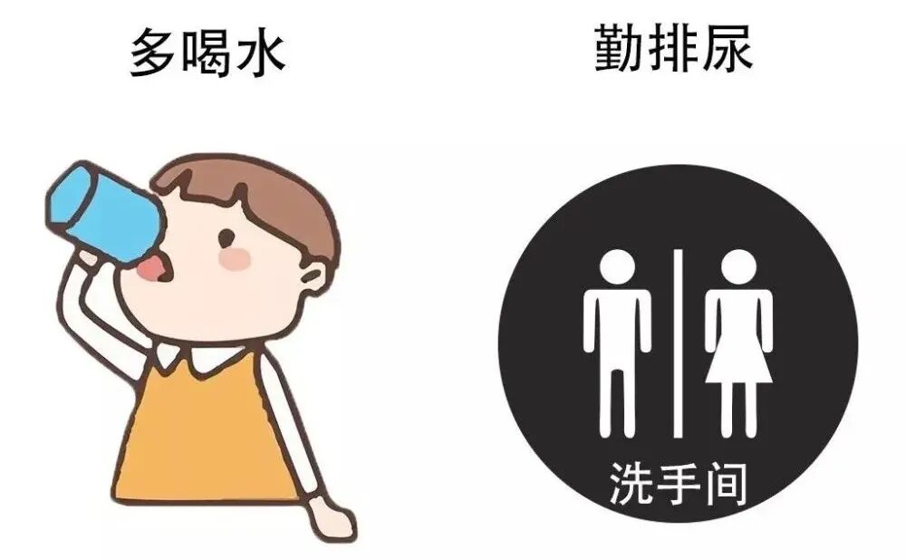 b膀胱镜为什么消毒泌尿外科的第三只眼睛——膀胱镜_https://www.jmylbn.com_新闻资讯_第5张